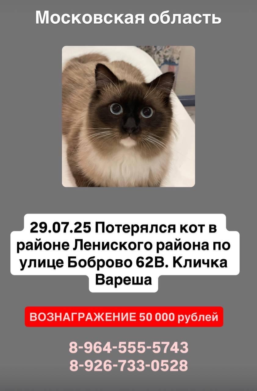 photo-0