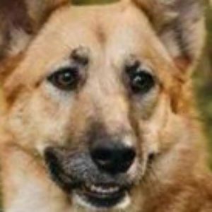 Найдена, пт 23.05.2021 (3 дня назад)