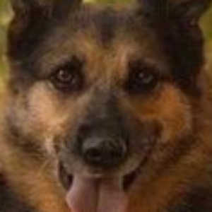 Найдена, пт 23.05.2021 (3 дня назад)