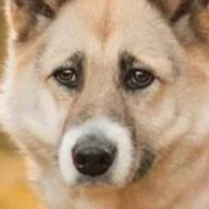 Найдена, пт 23.05.2021 (3 дня назад)