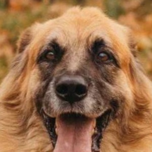 Найдена, пт 23.05.2021 (3 дня назад)