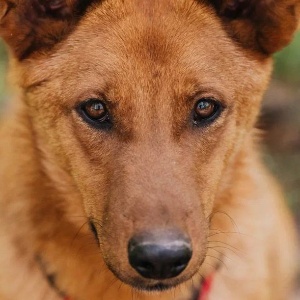 Найдена, пт 23.05.2021 (3 дня назад)