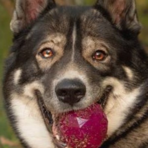 Найдена, пт 23.05.2021 (3 дня назад)