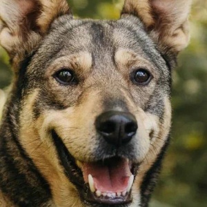 Найдена, пт 23.05.2021 (3 дня назад)