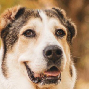 Найдена, пт 23.05.2021 (3 дня назад)