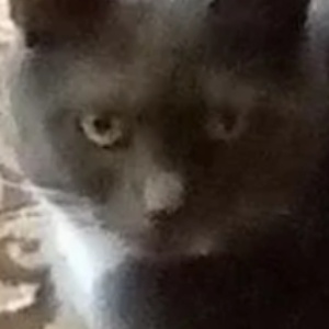 Найдена, пт 23.05.2021 (3 дня назад)