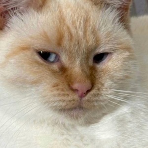 Найдена, пт 23.05.2021 (3 дня назад)