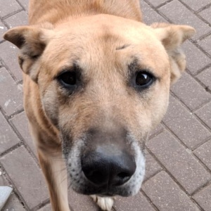 Найдена, пт 23.05.2021 (3 дня назад)