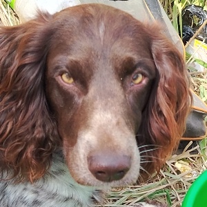 Найдена, пт 23.05.2021 (3 дня назад)