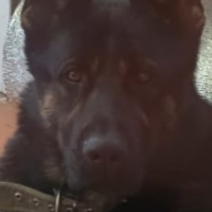 Найдена, пт 23.05.2021 (3 дня назад)