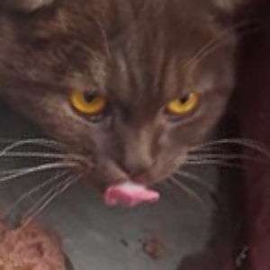 Найдена, пт 23.05.2021 (3 дня назад)