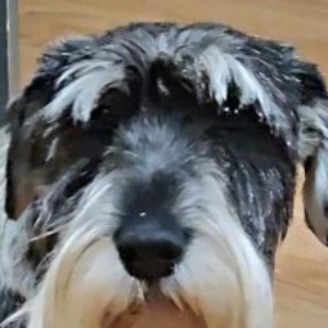 Найдена, пт 23.05.2021 (3 дня назад)