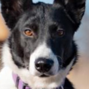 Найдена, пт 23.05.2021 (3 дня назад)