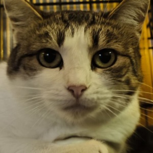 Найдена, пт 23.05.2021 (3 дня назад)