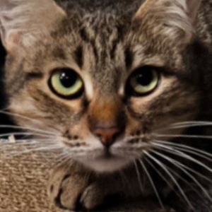 Найдена, пт 23.05.2021 (3 дня назад)