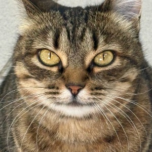 Найдена, пт 23.05.2021 (3 дня назад)