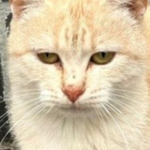 Найдена, пт 23.05.2021 (3 дня назад)