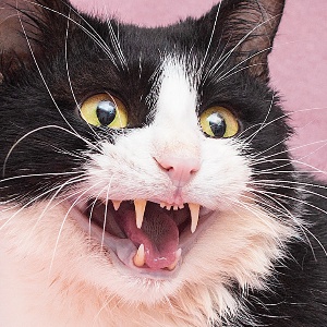 Найдена, пт 23.05.2021 (3 дня назад)