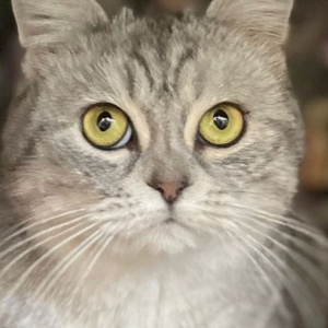 Найдена, пт 23.05.2021 (3 дня назад)