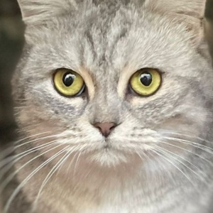 Найдена, пт 23.05.2021 (3 дня назад)