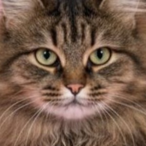 Найдена, пт 23.05.2021 (3 дня назад)