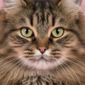 Найдена, пт 23.05.2021 (3 дня назад)