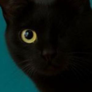 Найдена, пт 23.05.2021 (3 дня назад)