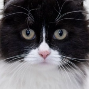 Найдена, пт 23.05.2021 (3 дня назад)