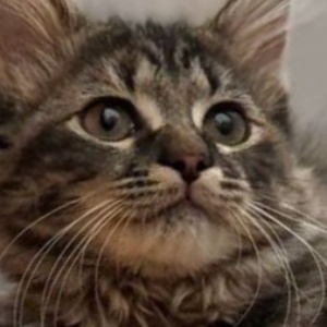 Найдена, пт 23.05.2021 (3 дня назад)