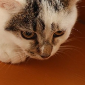 Найдена, пт 23.05.2021 (3 дня назад)