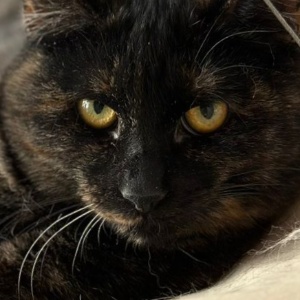 Найдена, пт 23.05.2021 (3 дня назад)