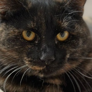 Найдена, пт 23.05.2021 (3 дня назад)