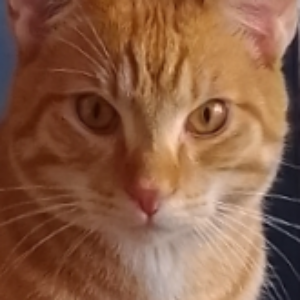 Найдена, пт 23.05.2021 (3 дня назад)