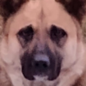 Найдена, пт 23.05.2021 (3 дня назад)