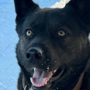 Найдена, пт 23.05.2021 (3 дня назад)