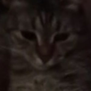 Найдена, пт 23.05.2021 (3 дня назад)