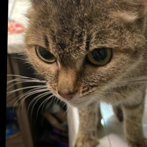 Найдена, пт 23.05.2021 (3 дня назад)