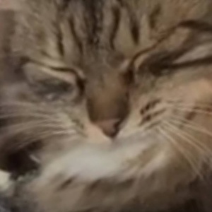 Найдена, пт 23.05.2021 (3 дня назад)