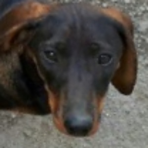 Найдена, пт 23.05.2021 (3 дня назад)