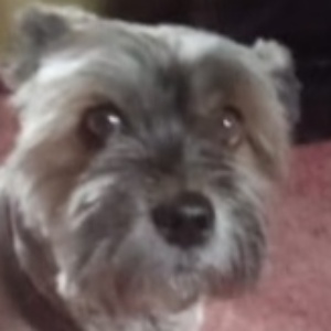 Найдена, пт 23.05.2021 (3 дня назад)