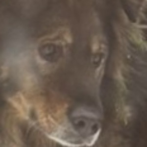 Найдена, пт 23.05.2021 (3 дня назад)