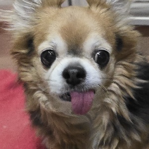 Найдена, пт 23.05.2021 (3 дня назад)