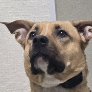 Найдена, пт 23.05.2021 (3 дня назад)