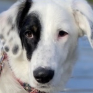 Найдена, пт 23.05.2021 (3 дня назад)