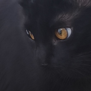 Найдена, пт 23.05.2021 (3 дня назад)