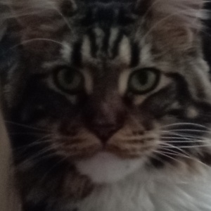 Найдена, пт 23.05.2021 (3 дня назад)