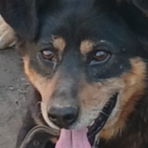 Найдена, пт 23.05.2021 (3 дня назад)