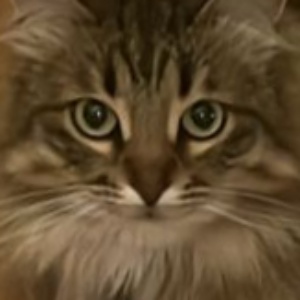 Найдена, пт 23.05.2021 (3 дня назад)