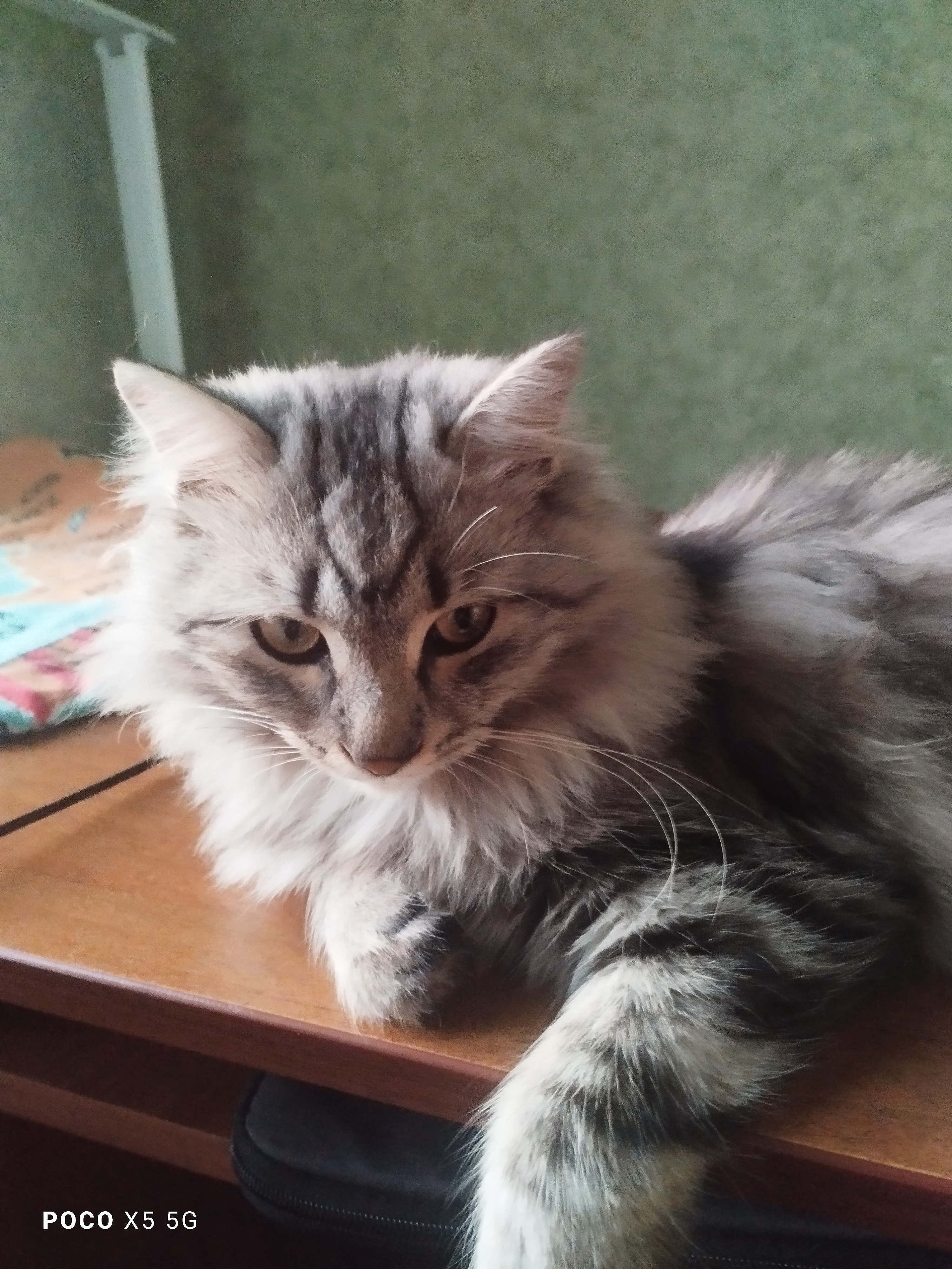 photo-0